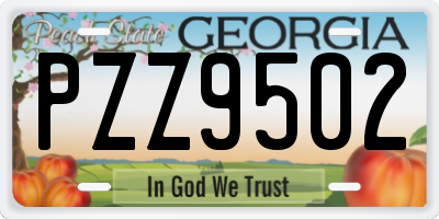 GA license plate PZZ9502
