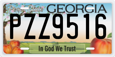 GA license plate PZZ9516