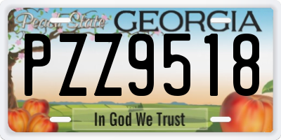 GA license plate PZZ9518