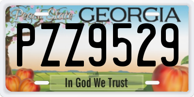 GA license plate PZZ9529