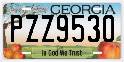 GA license plate PZZ9530
