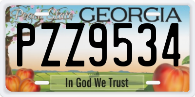 GA license plate PZZ9534