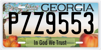 GA license plate PZZ9553