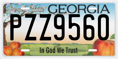 GA license plate PZZ9560