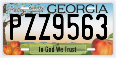 GA license plate PZZ9563