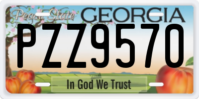 GA license plate PZZ9570