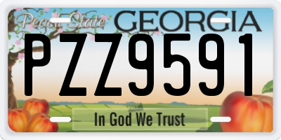 GA license plate PZZ9591