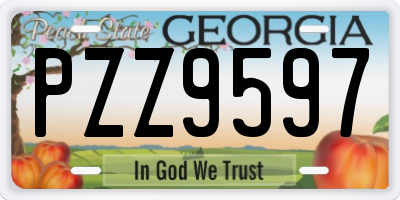 GA license plate PZZ9597