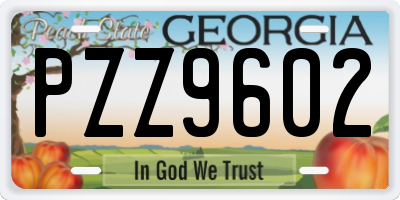 GA license plate PZZ9602