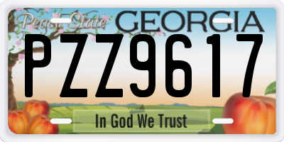 GA license plate PZZ9617