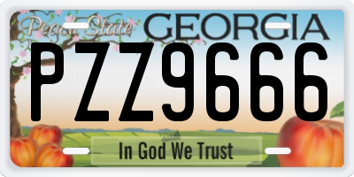 GA license plate PZZ9666