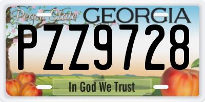 GA license plate PZZ9728