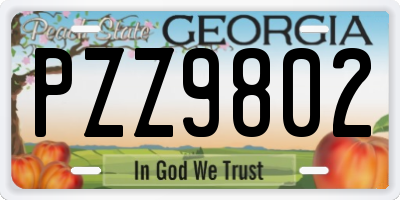 GA license plate PZZ9802