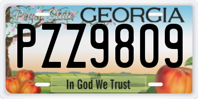 GA license plate PZZ9809