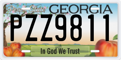 GA license plate PZZ9811