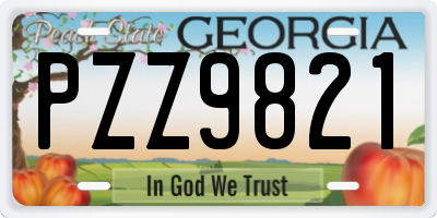 GA license plate PZZ9821