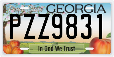 GA license plate PZZ9831
