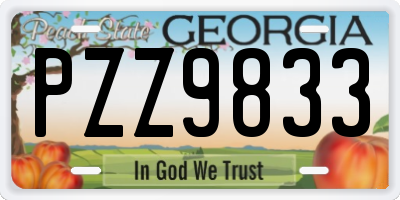 GA license plate PZZ9833
