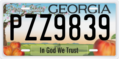 GA license plate PZZ9839