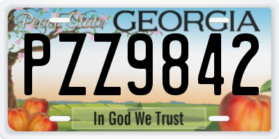 GA license plate PZZ9842