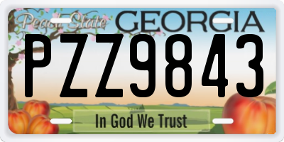 GA license plate PZZ9843