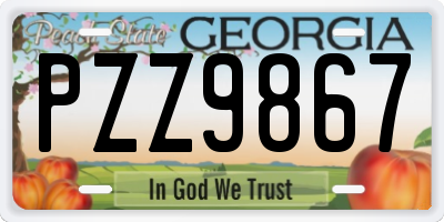GA license plate PZZ9867