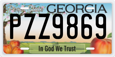 GA license plate PZZ9869