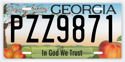 GA license plate PZZ9871