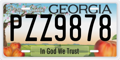 GA license plate PZZ9878