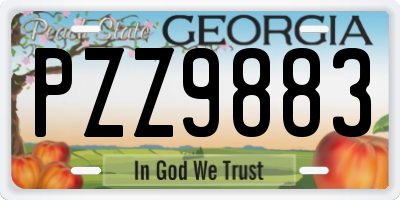 GA license plate PZZ9883