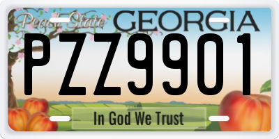 GA license plate PZZ9901