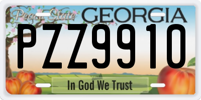 GA license plate PZZ9910