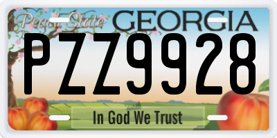 GA license plate PZZ9928
