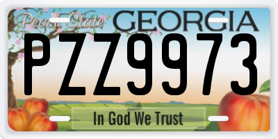 GA license plate PZZ9973