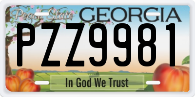 GA license plate PZZ9981