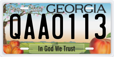 GA license plate QAA0113