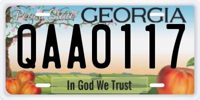 GA license plate QAA0117
