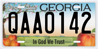 GA license plate QAA0142