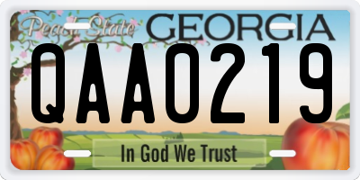 GA license plate QAA0219
