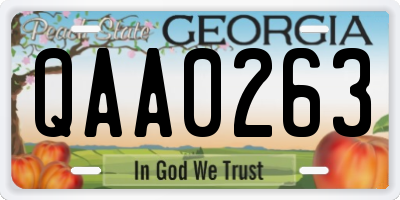 GA license plate QAA0263