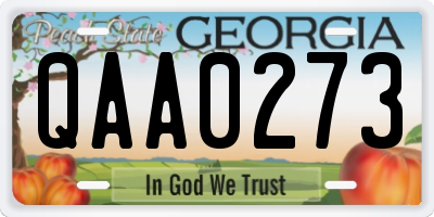 GA license plate QAA0273