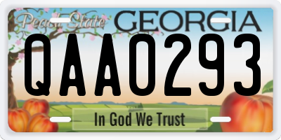 GA license plate QAA0293