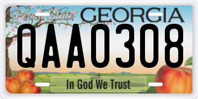 GA license plate QAA0308