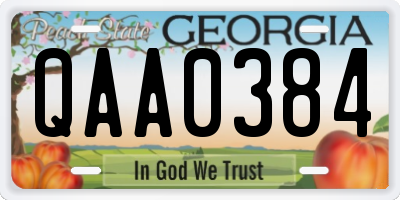 GA license plate QAA0384