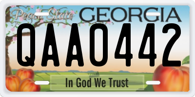 GA license plate QAA0442