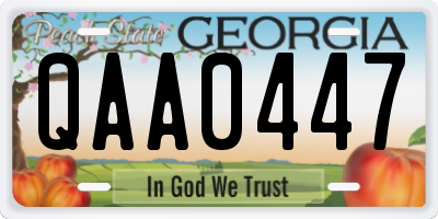 GA license plate QAA0447
