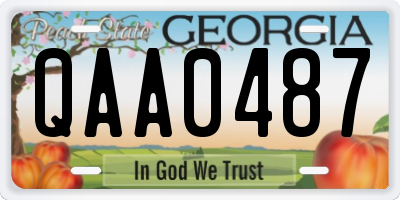 GA license plate QAA0487