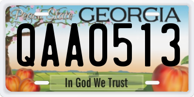 GA license plate QAA0513