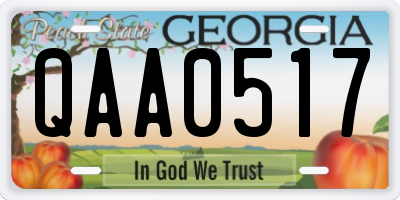 GA license plate QAA0517