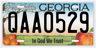 GA license plate QAA0529